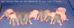 359_128.jpg